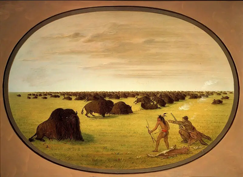 Catlin et l’Indien attaquant le bison - George Catlin - Alpha Reproduction