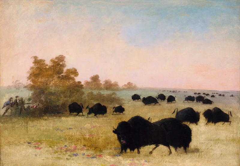Catlin og Party Stalking Buffalo, Haut-Missouri - George Catlin