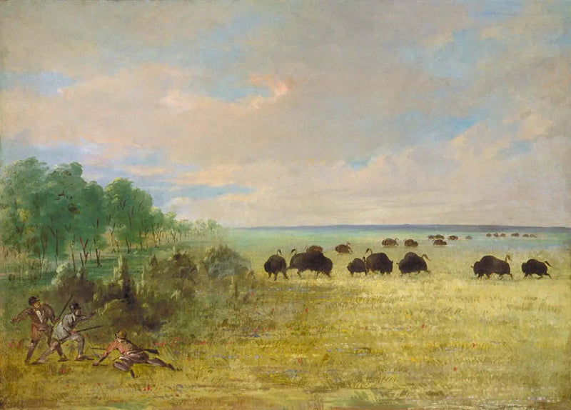 Catlin og Party sporer Buffalo i Texas - George Catlin