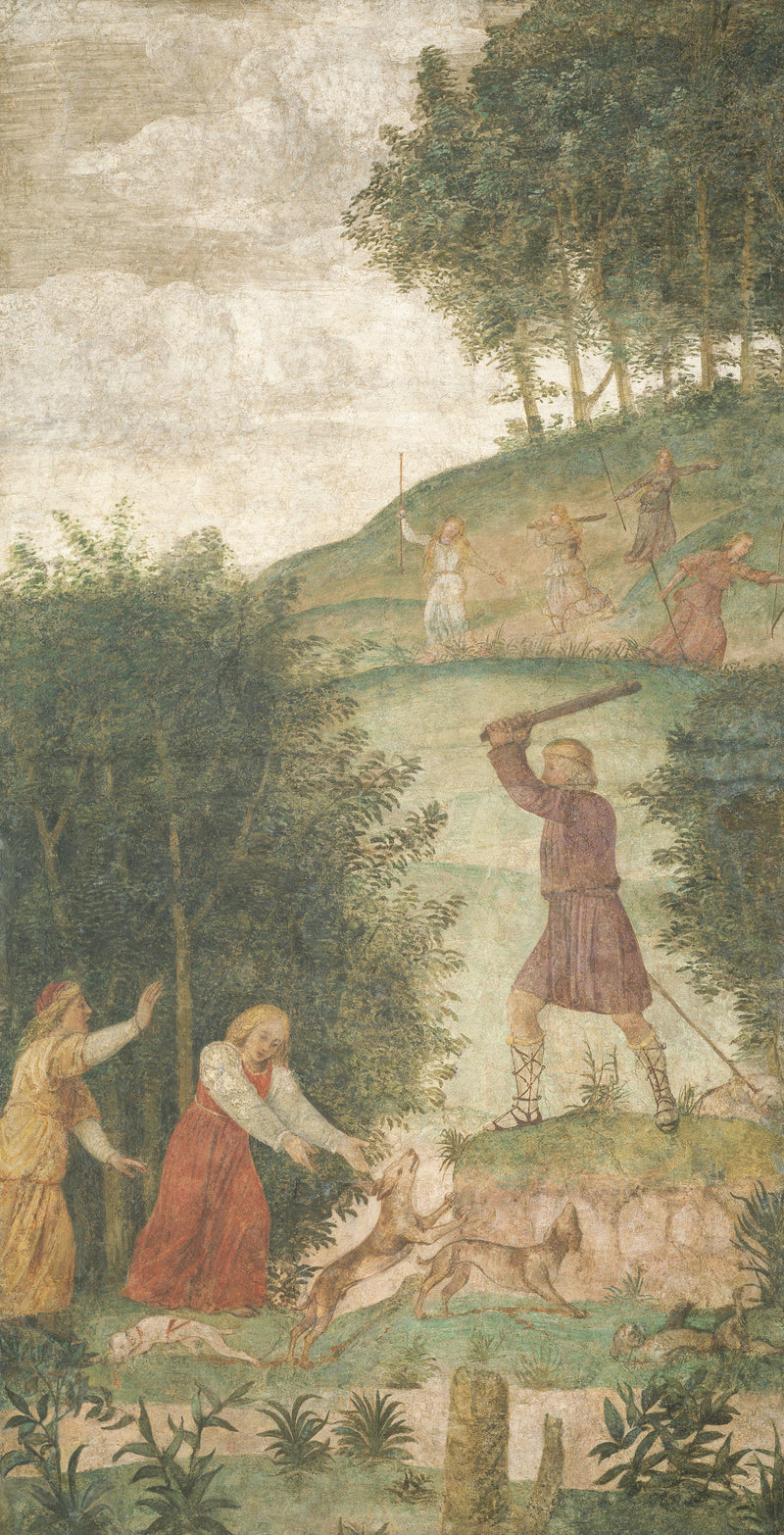 Céphale straffet ved jagten - Bernardino Luini