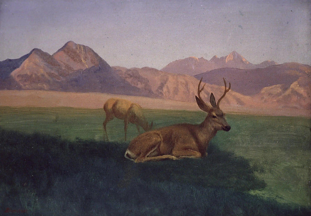 Cerf - Albert Bierstadt image 1 reproduction de peinture à l’huile