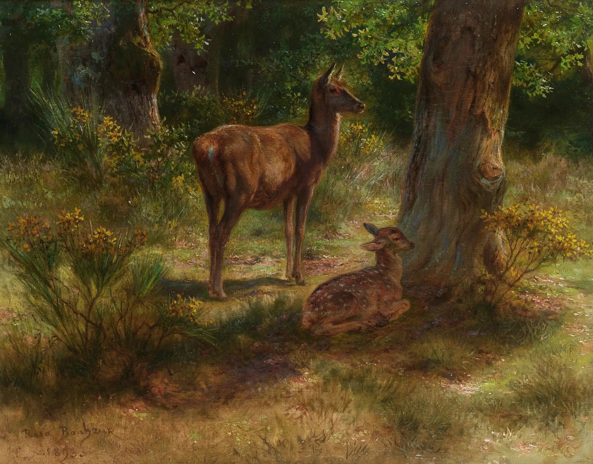 Cerf et faon dans un bois - Rosa Bonheur image 1 reproduction de peinture à l’huile