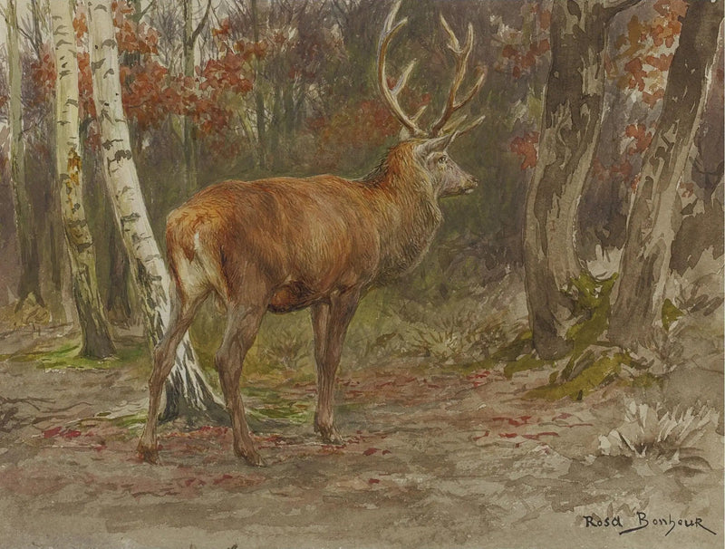 Vågen hjort - Rosa Bonheur