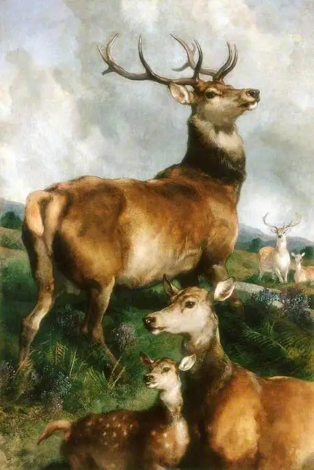 Hjorte i Chillingham Park, Northumberland - Edwin Henry Landseer