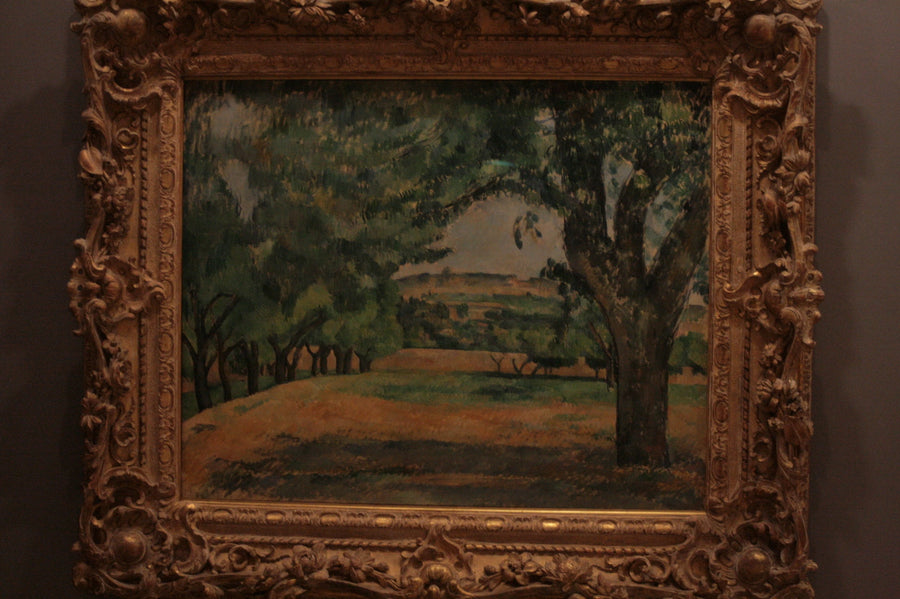 Omgivelserne ved Jas de Bouffan - Paul Cézanne