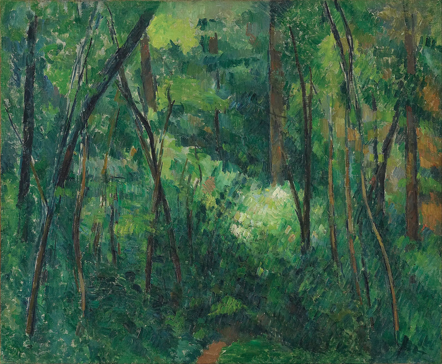 Underskov - Paul Cézanne