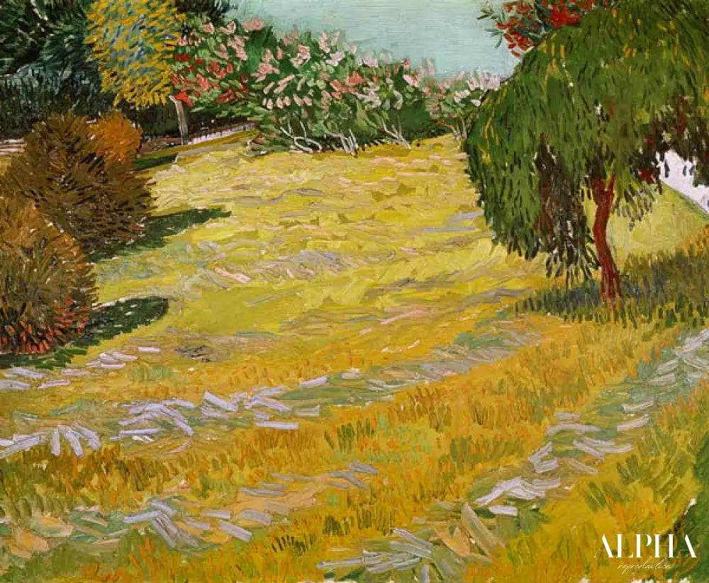 Champ à la lumière du soleil - Van Gogh - Reproductions de tableaux et peintures haut de gamme