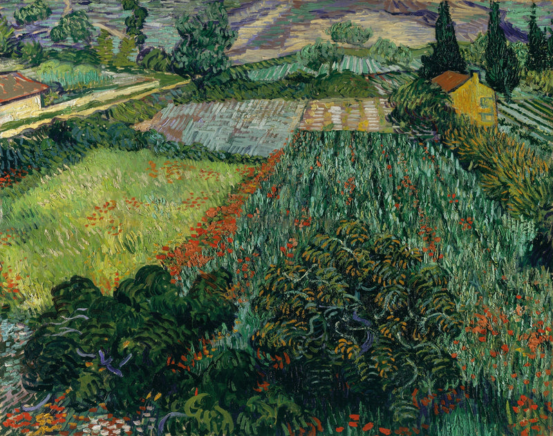 Valmuefelt - Vincent van Gogh
