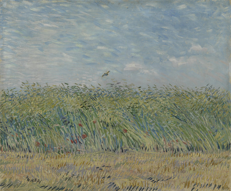 Hvede mark med lerke - Vincent van Gogh