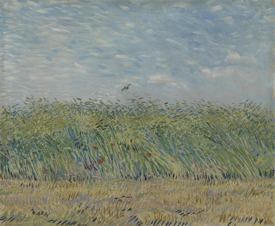 Hvede mark med lerke - Vincent van Gogh