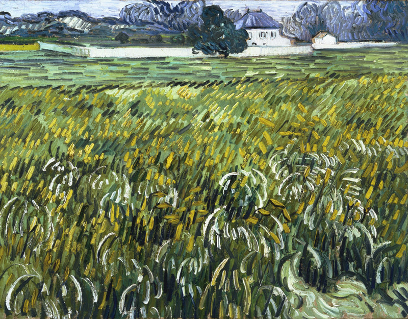 Hvedemark i Auvers med hus - Vincent van Gogh