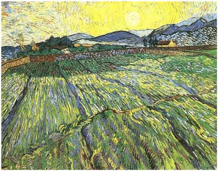 Indhegnet mark med solopgang - Vincent van Gogh