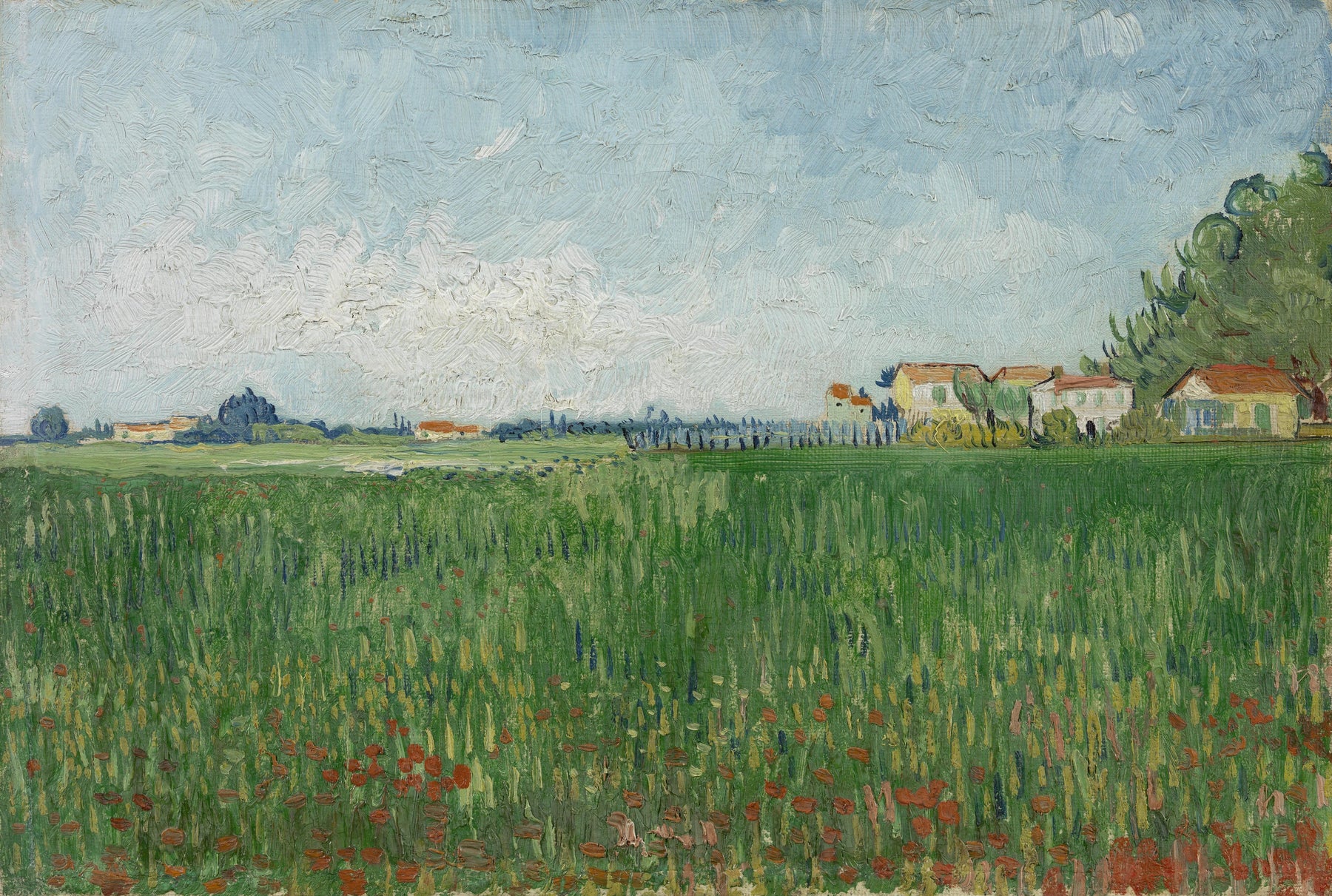 Champ de coquelicots F576 de Vincent van Gogh, Van Gogh Museum