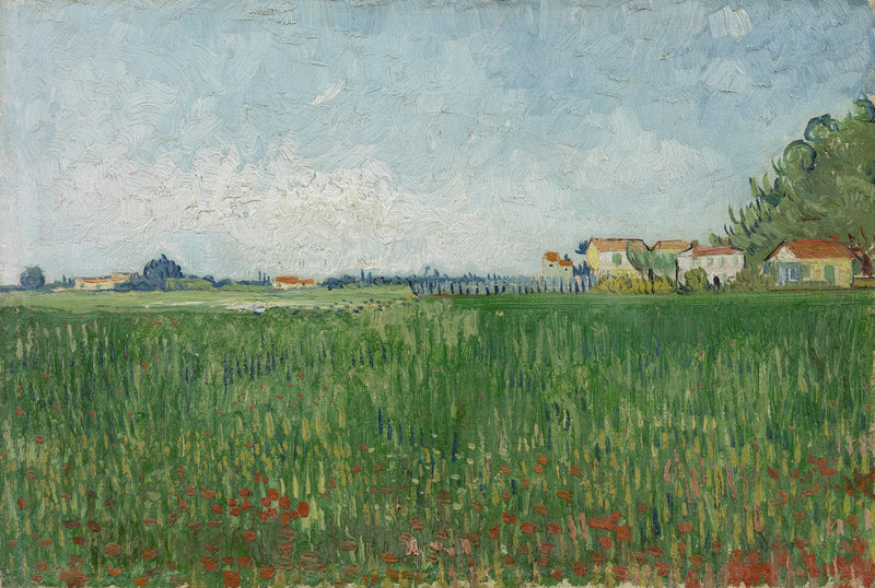 Valmuefelt - Vincent van Gogh