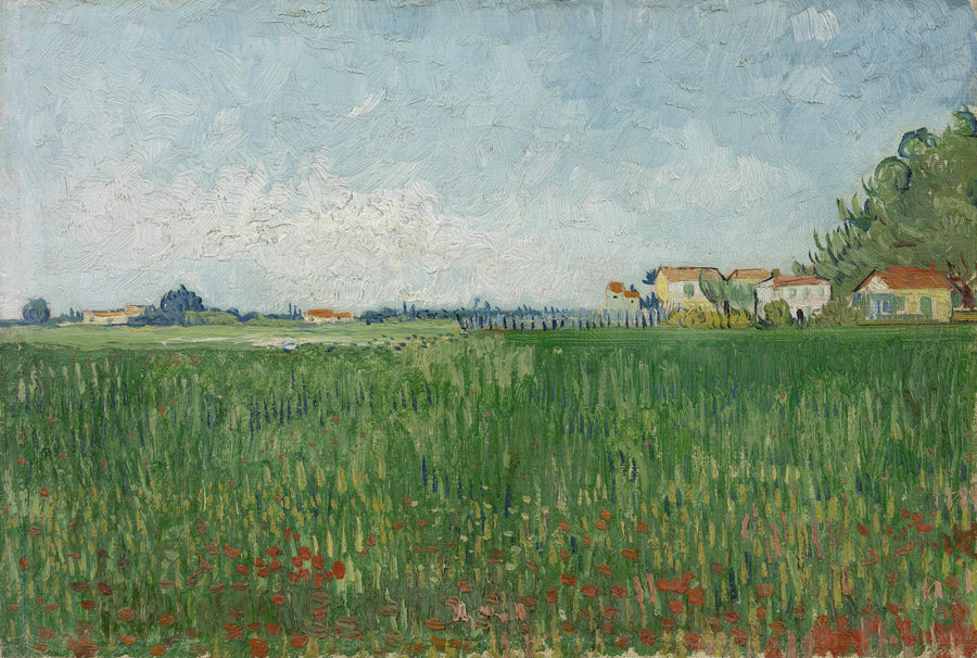 Valmuefelt - Vincent van Gogh