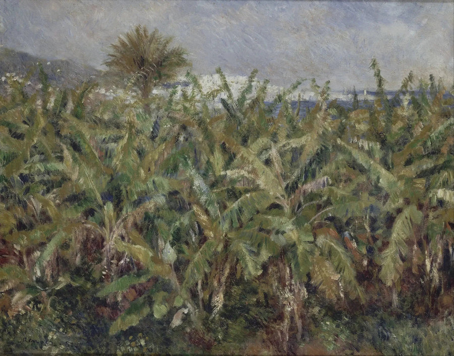 bananmark - Pierre-Auguste Renoir