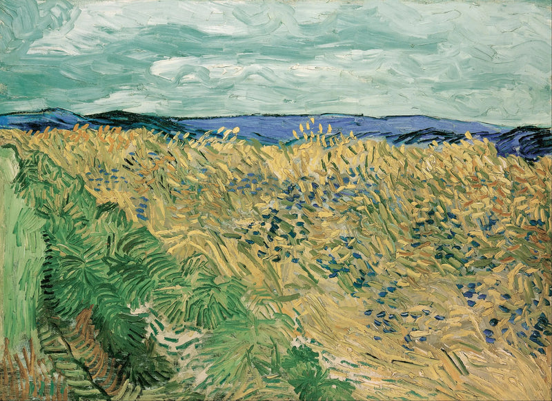 Hvede mark med kornblomster - Vincent van Gogh