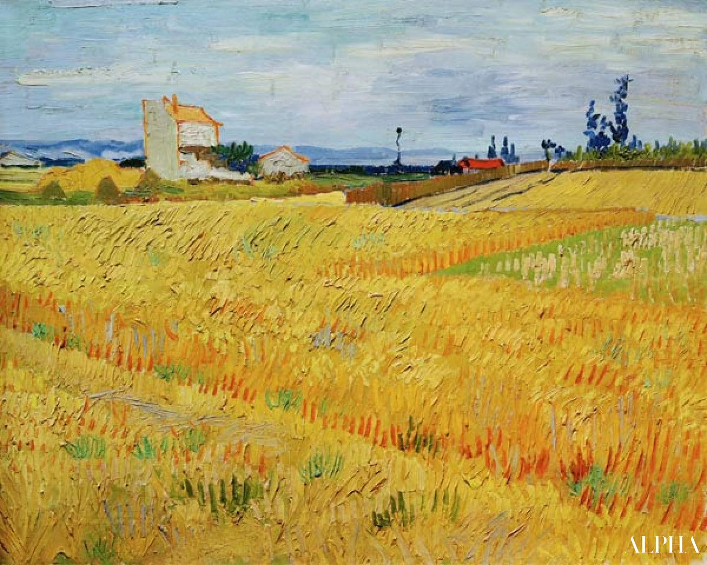 Champ de blé - Van Gogh - Reproductions de tableaux et peintures haut de gamme