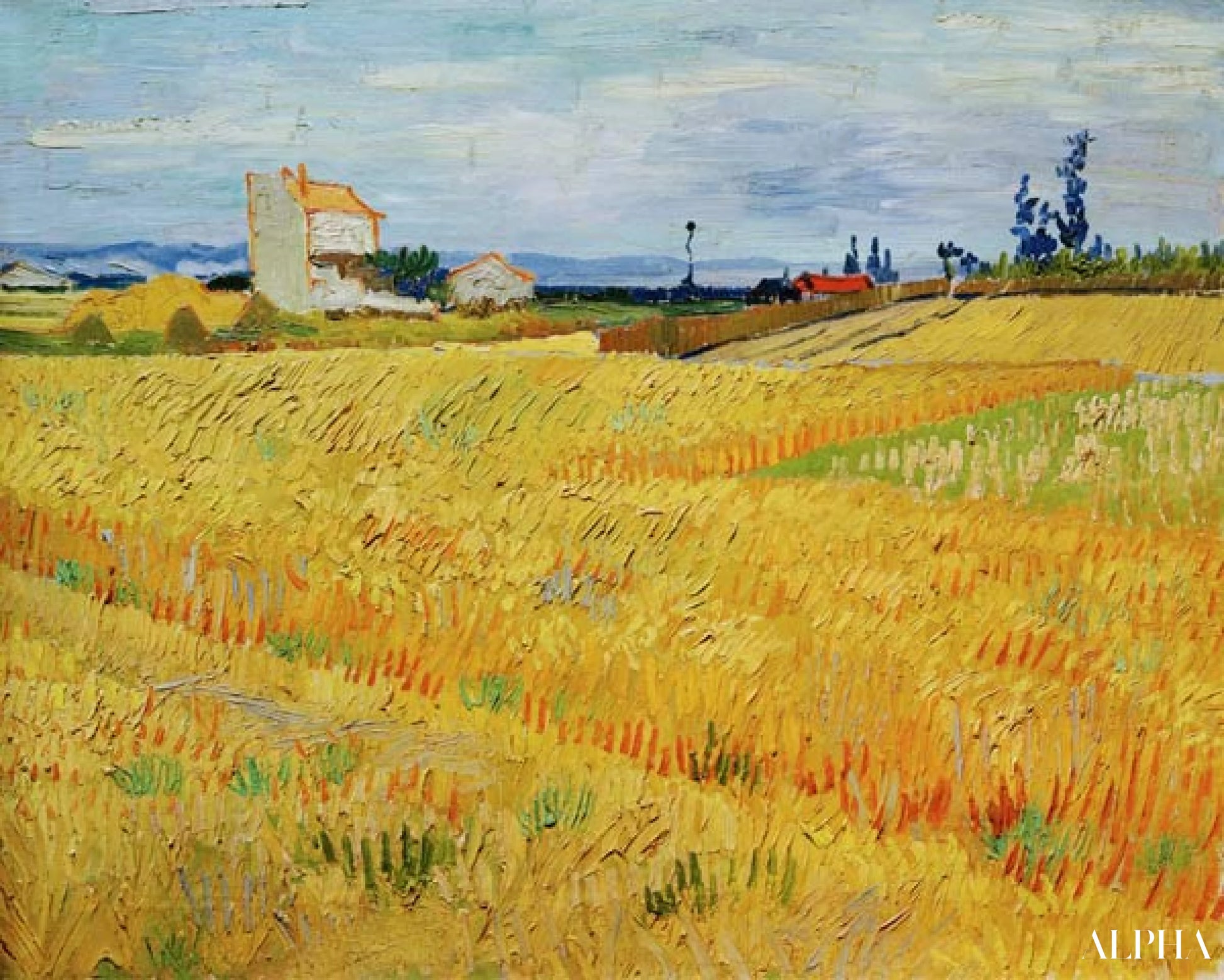 Champ de blé - Van Gogh - Reproductions de tableaux et peintures haut de gamme