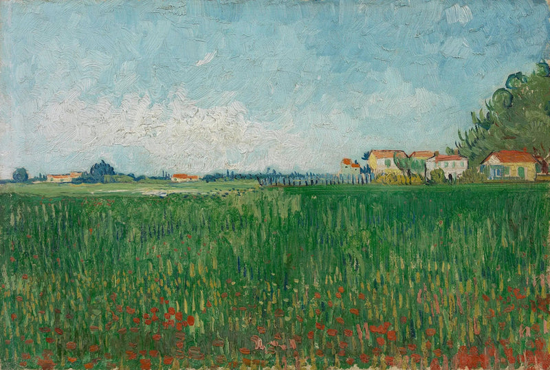Valmuefelt - Vincent van Gogh