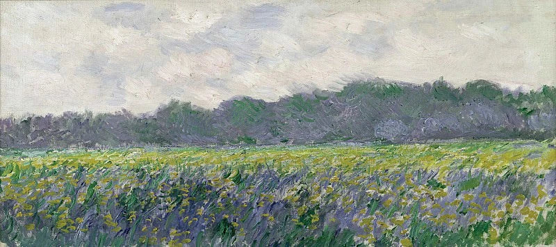 Champ d’iris jaunes à Giverny W1137 par Claude Monet, musée Marmottan Monet