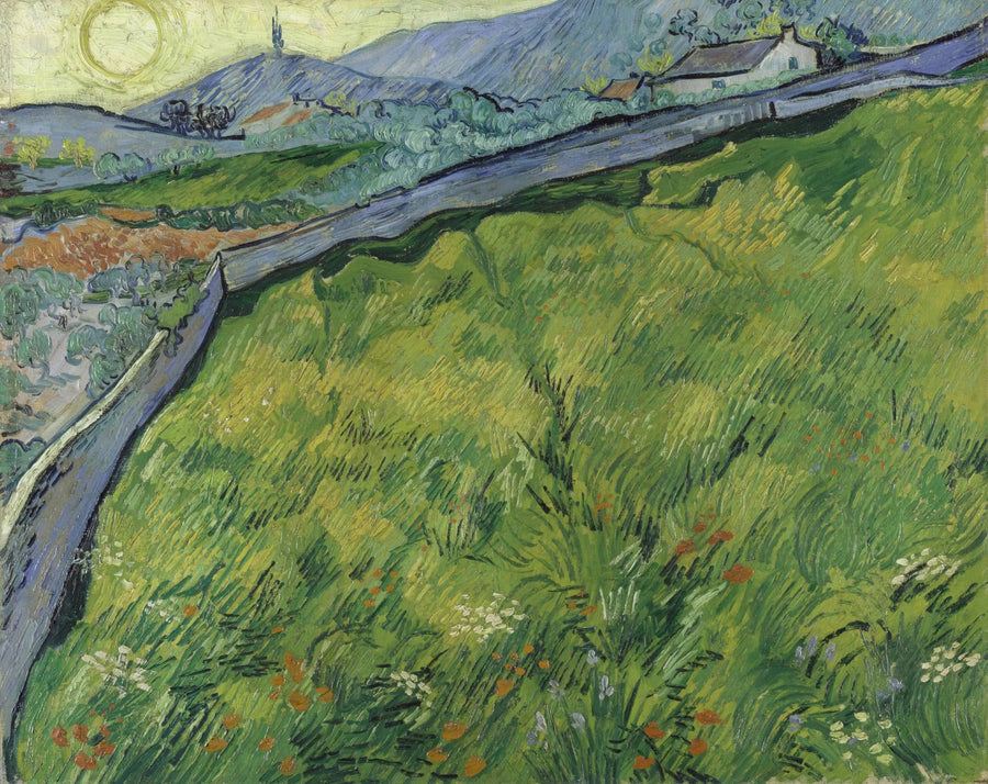 Forårshvede mark ved solopgang - Vincent van Gogh