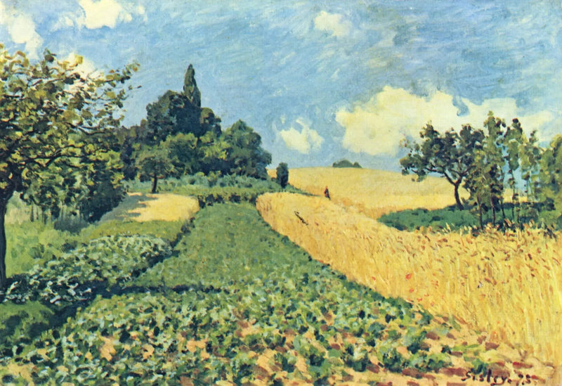 Hvedemarker på højderne af Argenteuil - Alfred Sisley