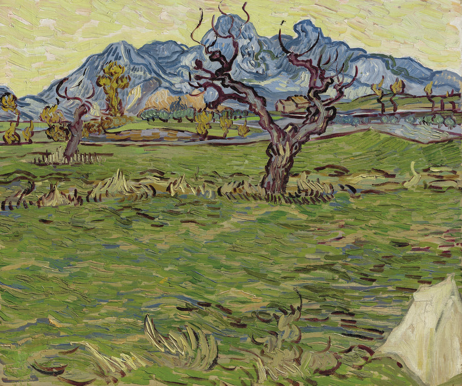 Marker nær Alpilles - Vincent van Gogh