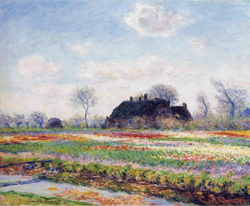 Tulipanmarker i Sassenheim W1070 - Claude Monet