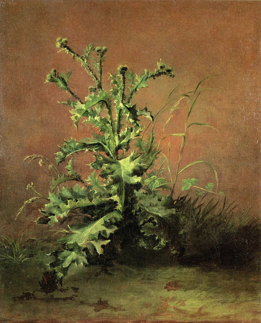Tidsler - Édouard Manet
