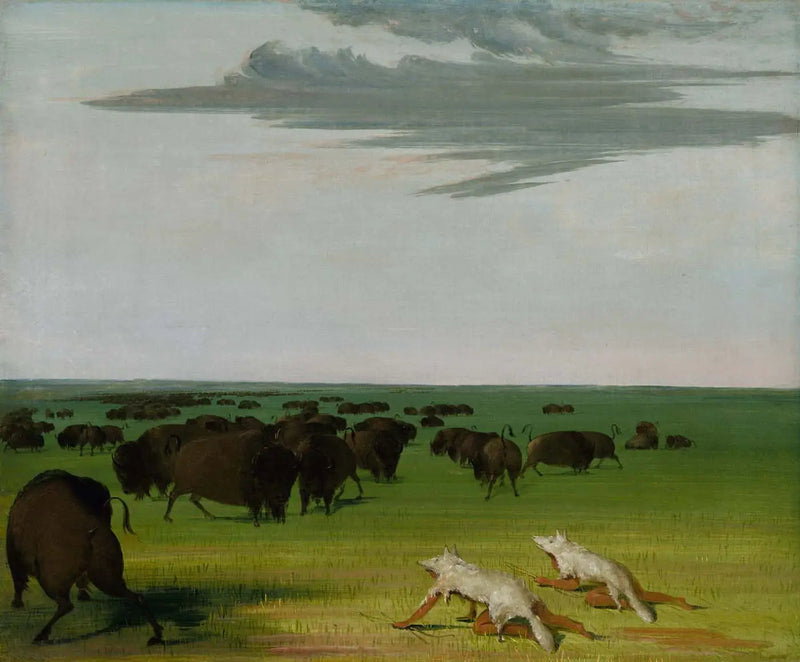 Bisonjagt under ulvemasken - George Catlin