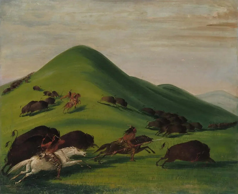 Bisonjagt på Prairie Bluffs - George Catlin