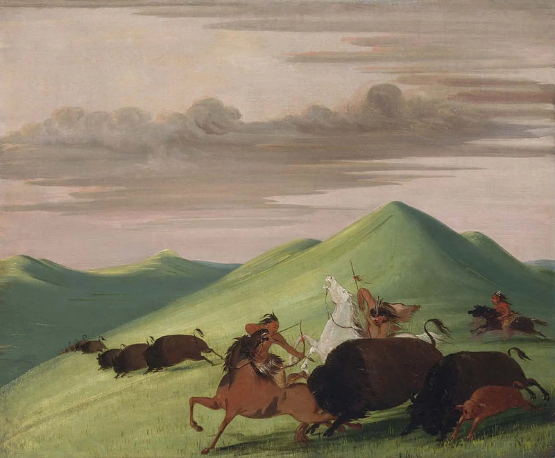 Bisonjagt, tyr, der beskytter en ko og hendes kalv - George Catlin