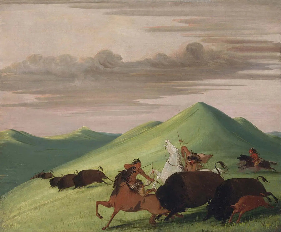 Bisonjagt, tyr, der beskytter en ko og hendes kalv - George Catlin