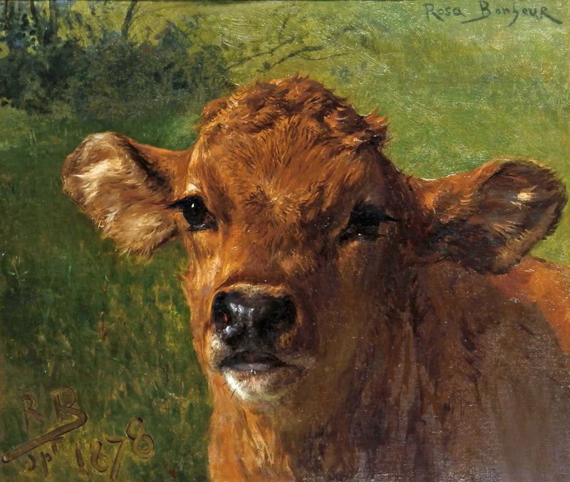 Chef d'un kalv - Rosa Bonheur