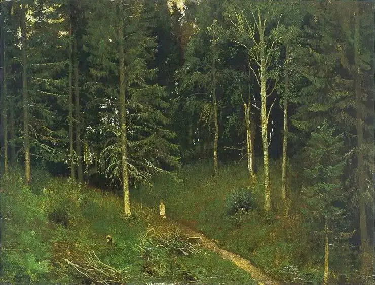 Sti i skoven (grantræskov) - Ivan Chichkine