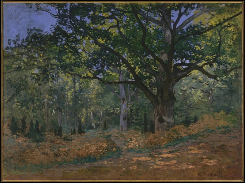 Bodmer-egen, Fontainebleau-skoven W60 - Claude Monet