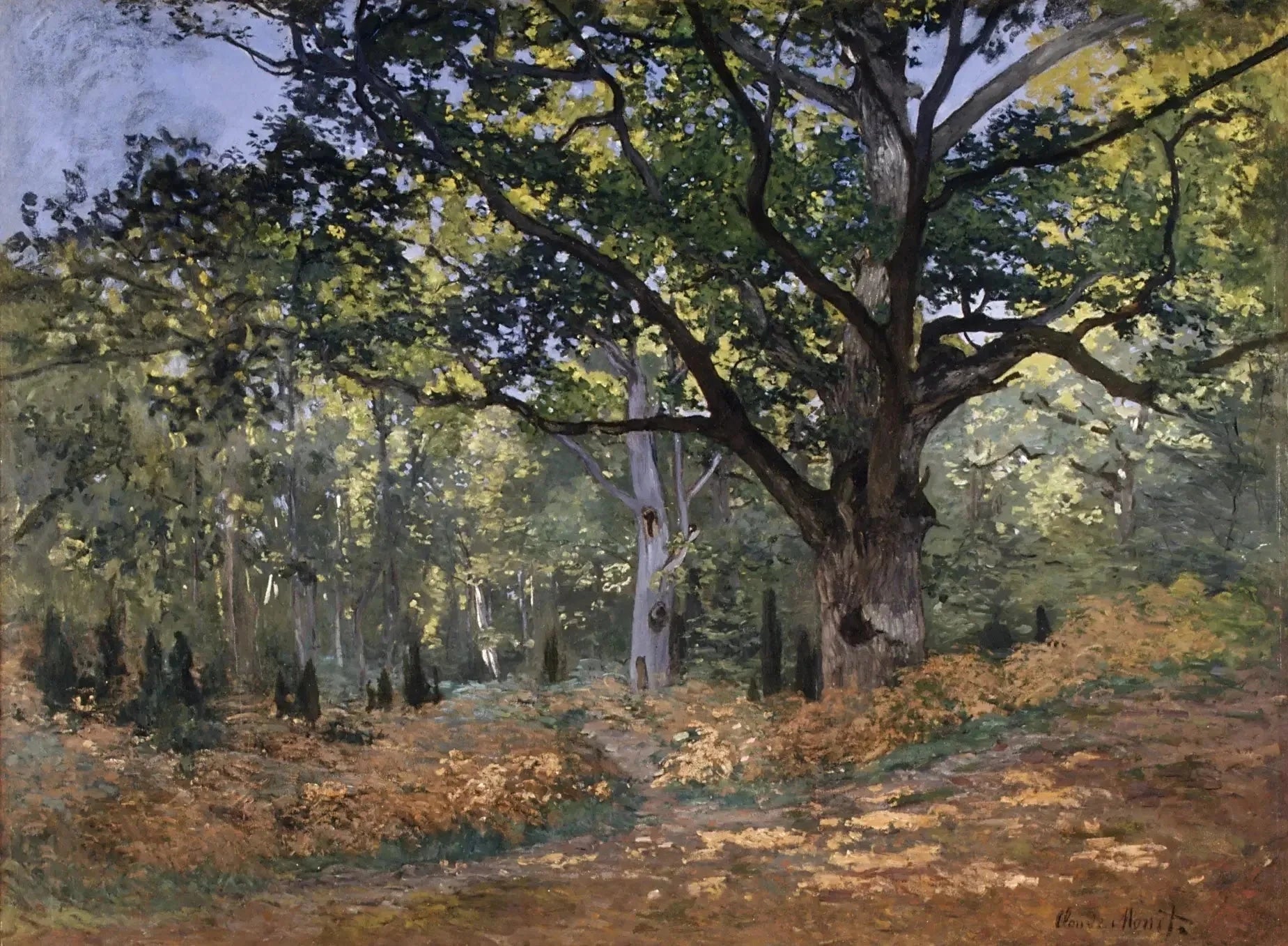 Le Chêne de Bodmer dans la forêt de Fontainebleau W60 par Claude Monet, 1865, Metropolitan Museum of Art