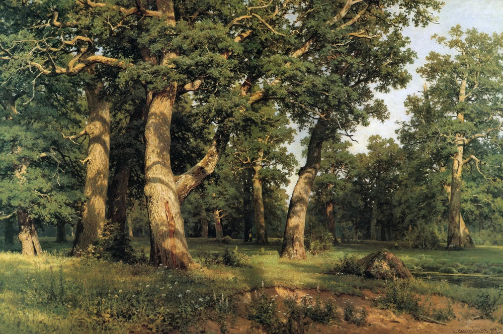 Chêne Grove - Ivan Chichkine - Alpha Reproduction