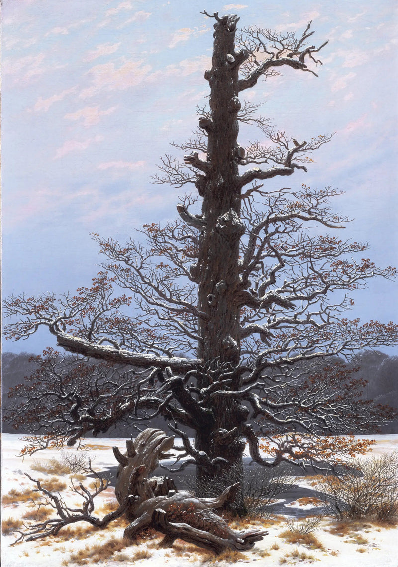 Eg under sneen - Caspar David Friedrich