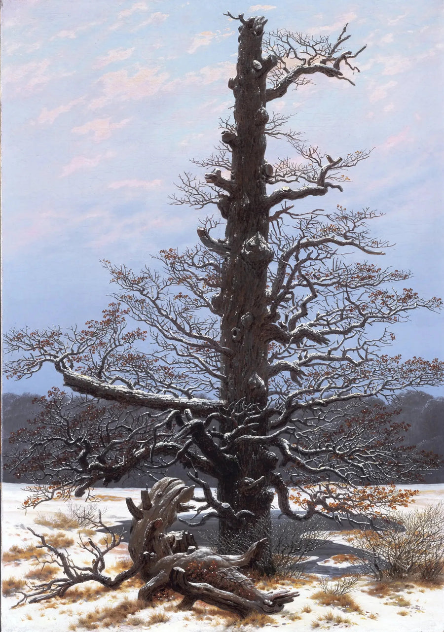 Eg under sneen - Caspar David Friedrich