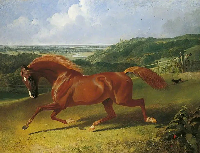 Galopperende hest i en mark - John Frederick Herring, Sr.