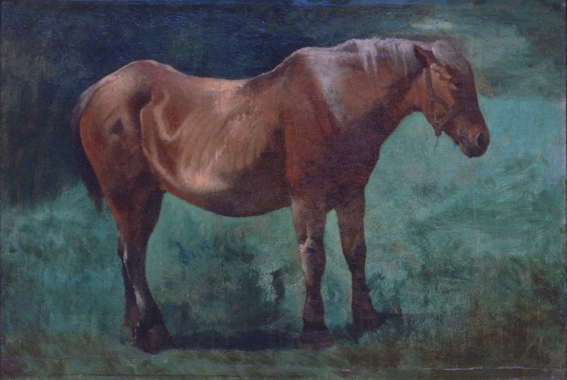 Pløjemand - Rosa Bonheur