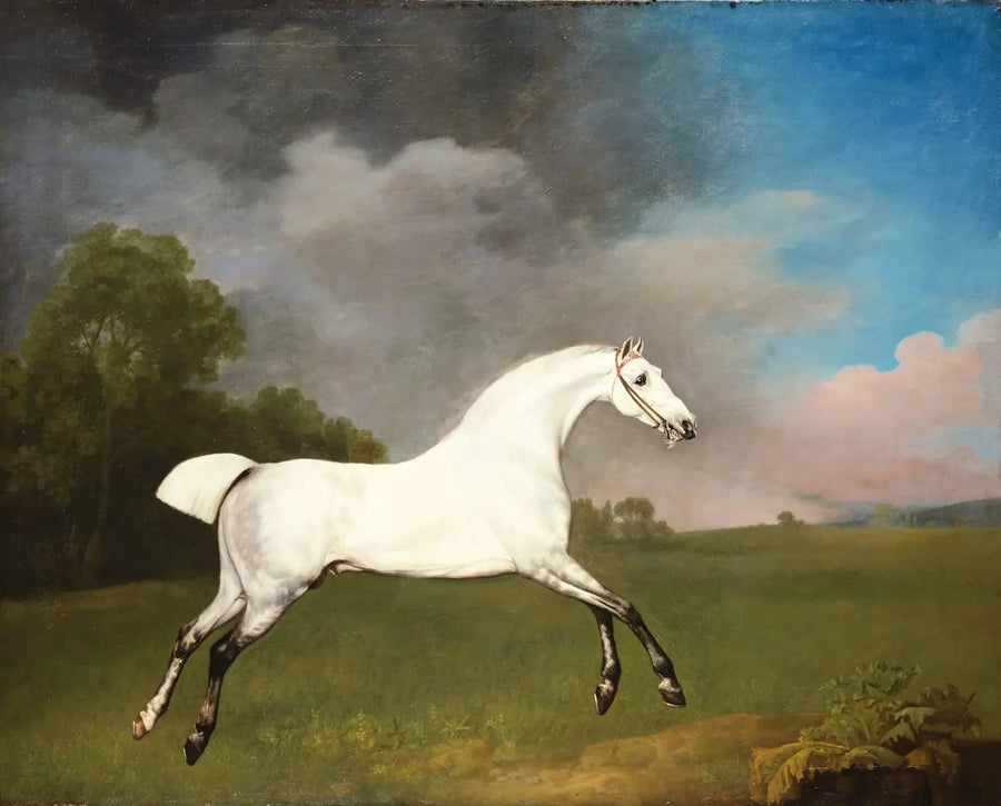 Grå hest galopperer i en mark - George Stubbs