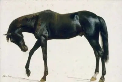 Sort hest - Albert Bierstadt