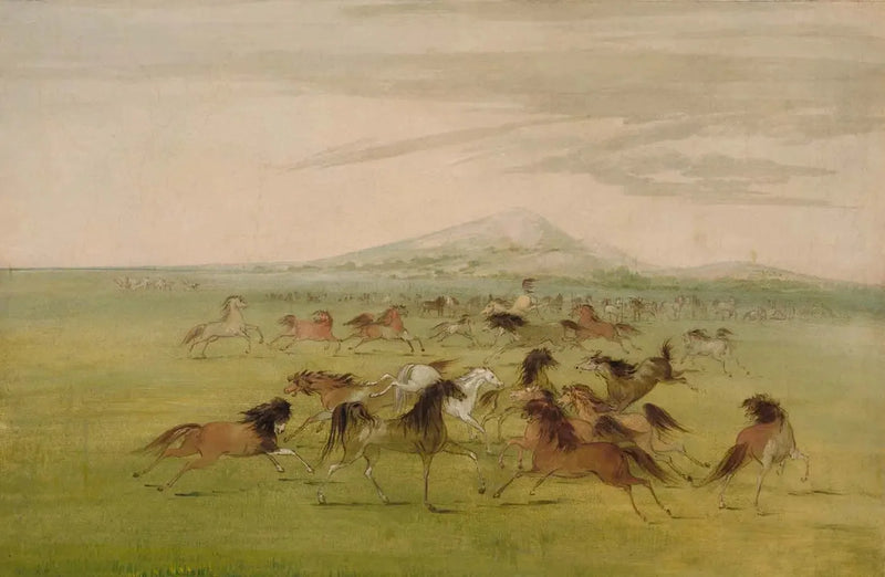 Vilde heste i spil - George Catlin