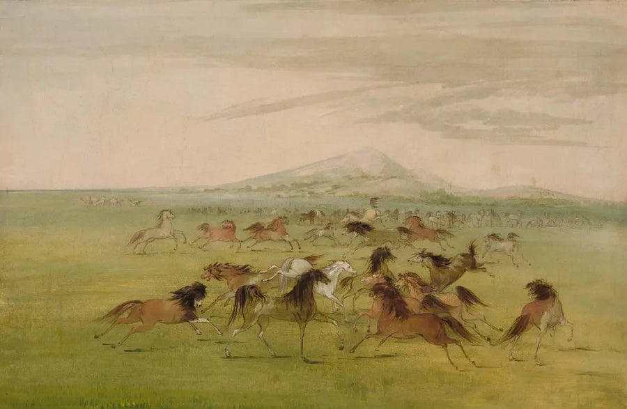 Vilde heste i spil - George Catlin