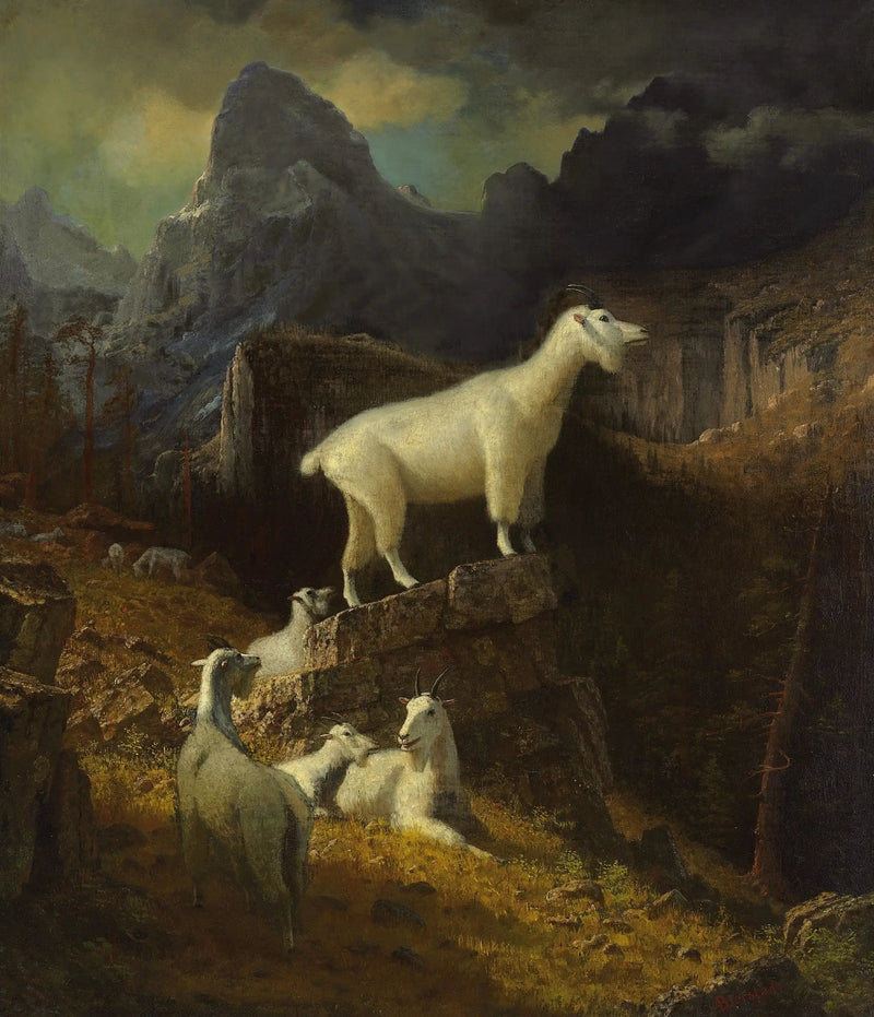 Bjerggederne i Rocky Mountains - Albert Bierstadt