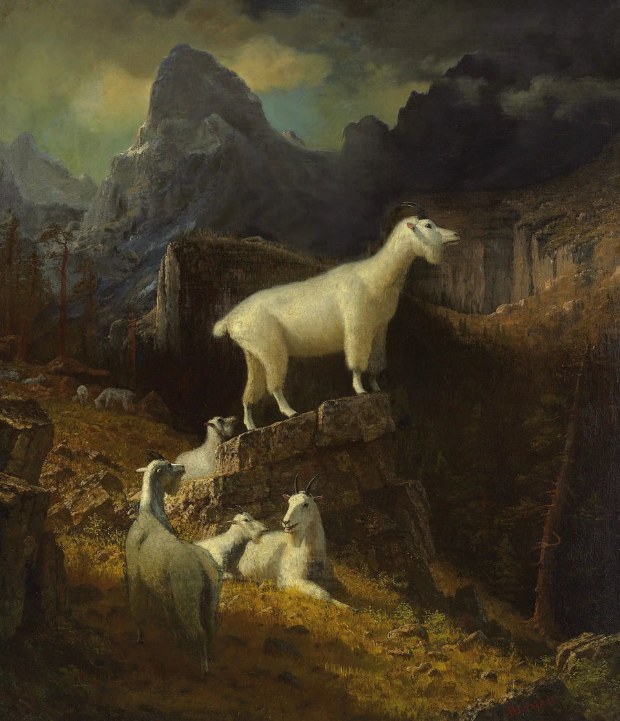 Bjerggederne i Rocky Mountains - Albert Bierstadt