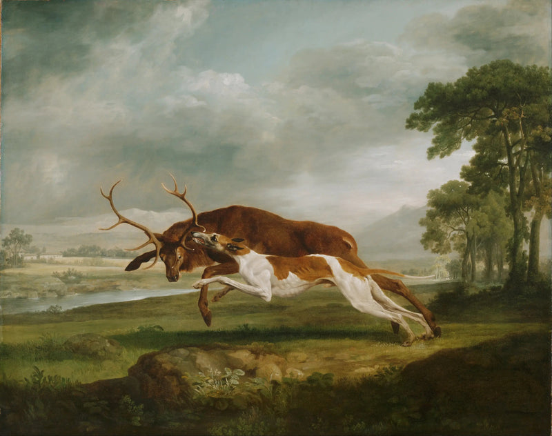 Hund løber efter en hjort - George Stubbs